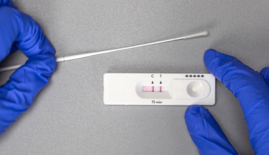 Белгийски изследователи предупредиха в навечерието на празниците да не се